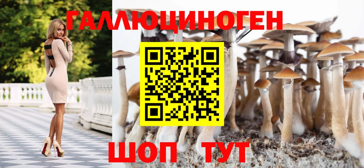 Галлюциногенные грибы мицелий Курганинск